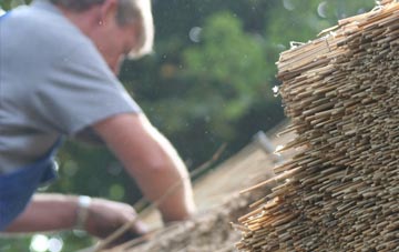 professional Tenby thatchers