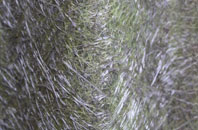 Tenby fibreglass roof work